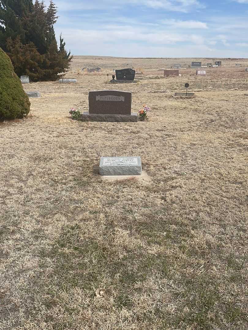 Ruby J. Albert's grave. Photo 1