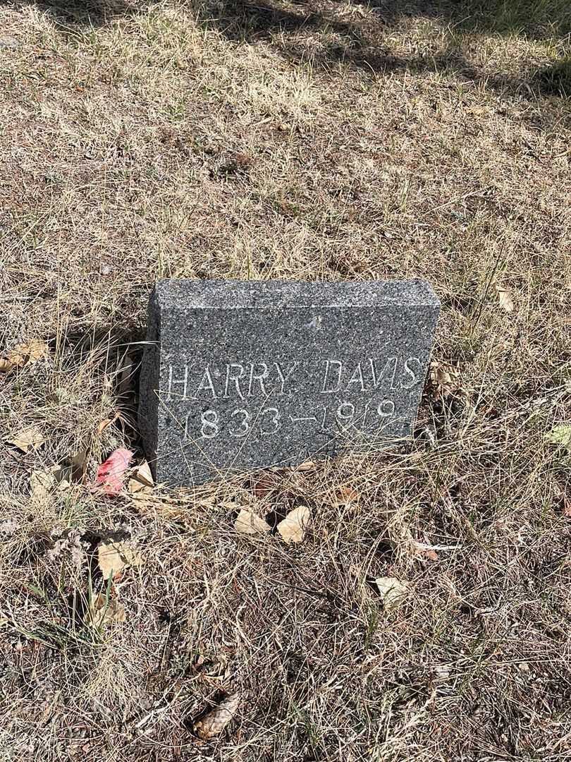 Harry Davis's grave. Photo 2