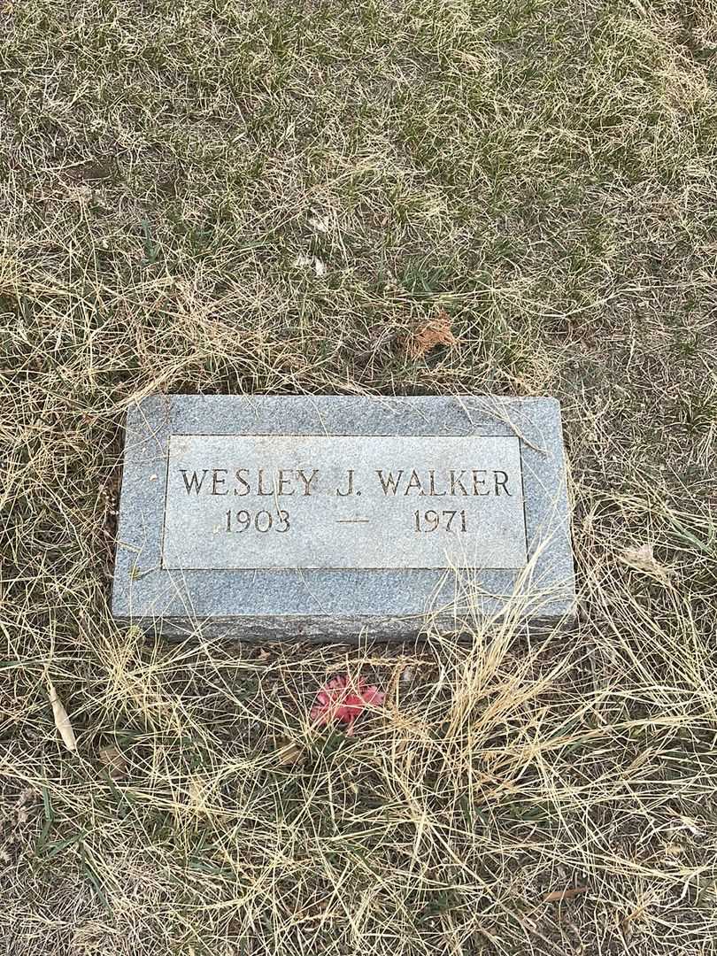 Wesley J. Walker's grave. Photo 2