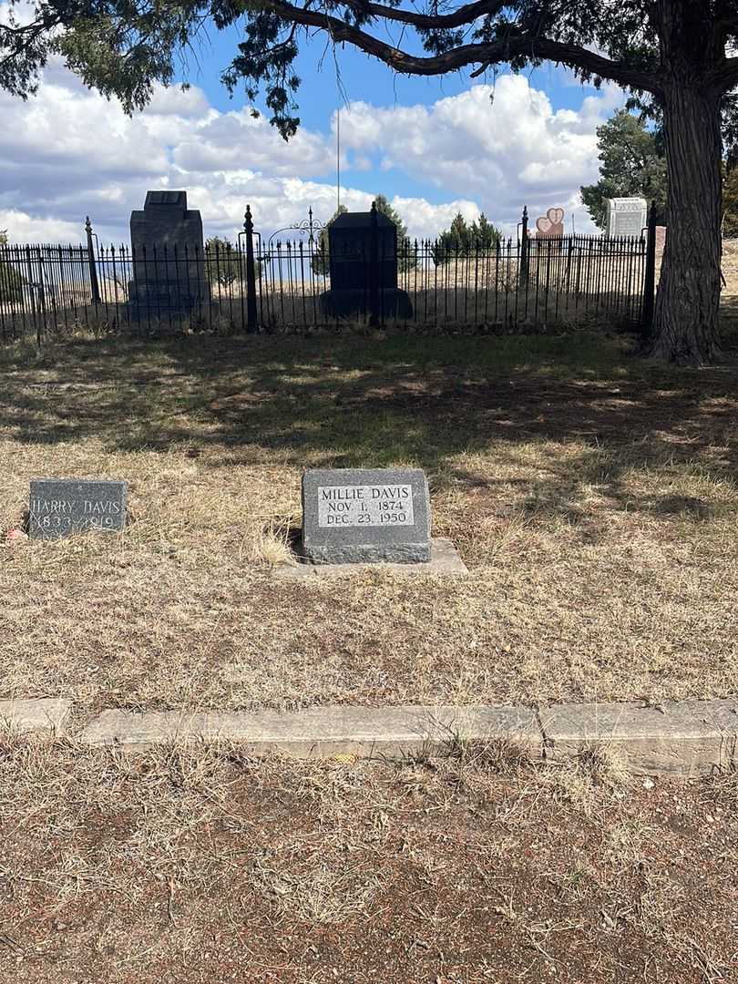 Millie Davis's grave. Photo 1