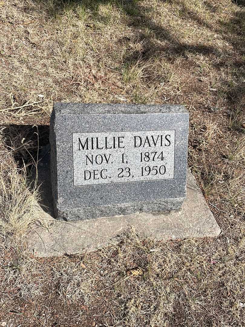 Millie Davis's grave. Photo 2