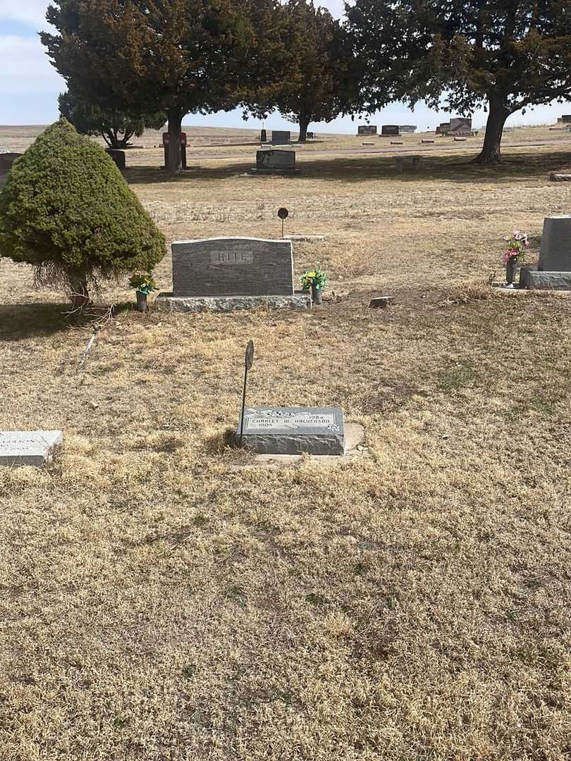 Charles W. Halverson Senior's grave. Photo 1