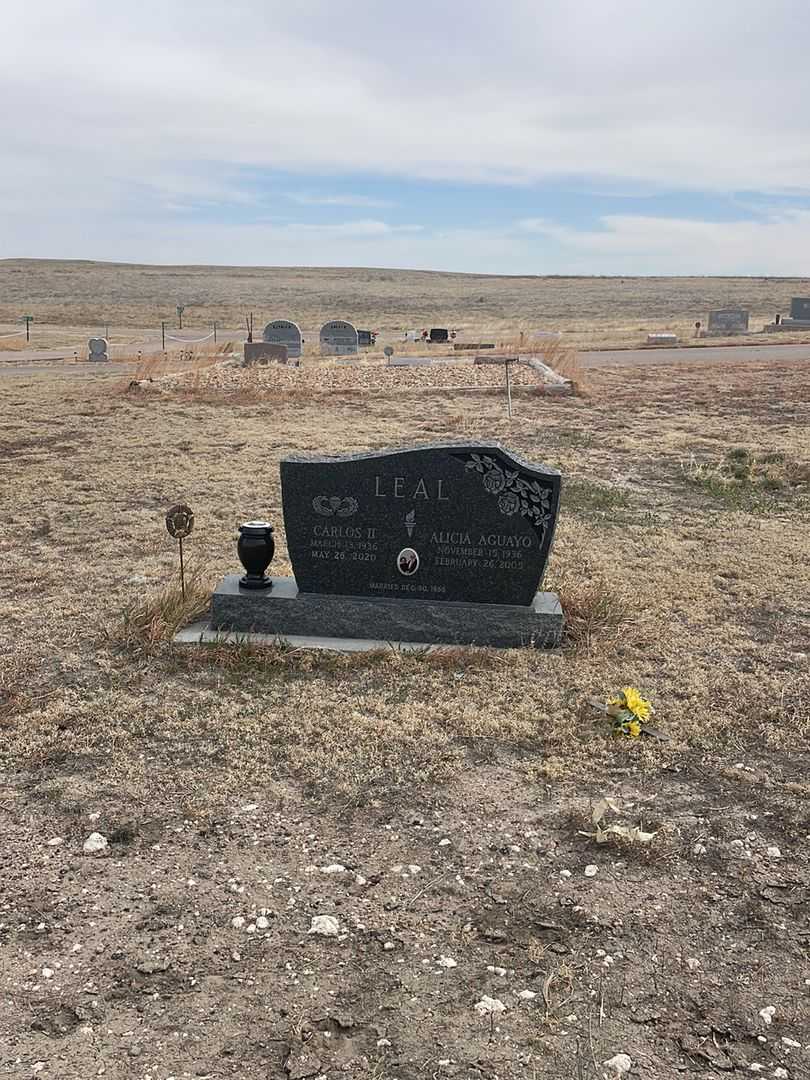 Alicia Aguayo Leal's grave. Photo 1