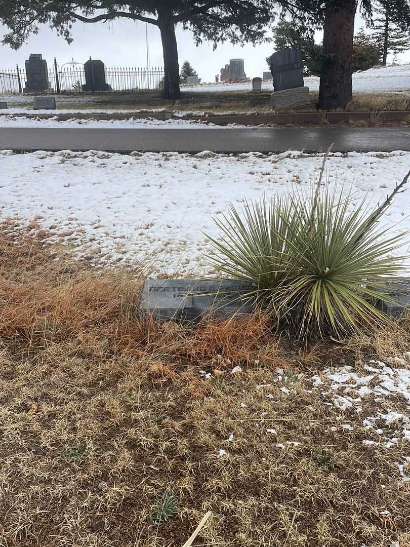 Bertrand D. Parker's grave. Photo 1