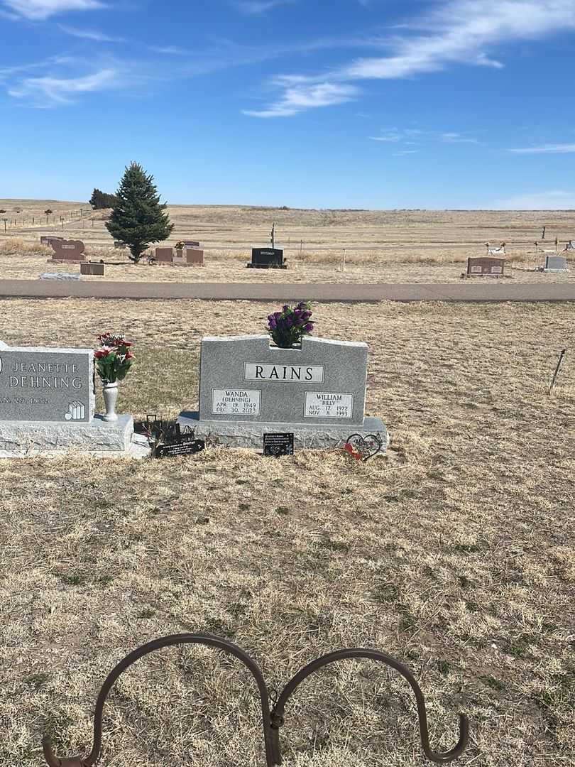 William A. "Billy" Rains's grave. Photo 1