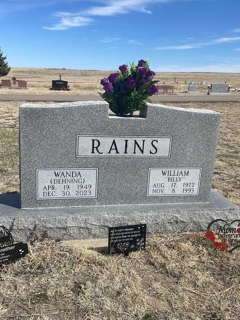 William A. "Billy" Rains's grave. Photo 2