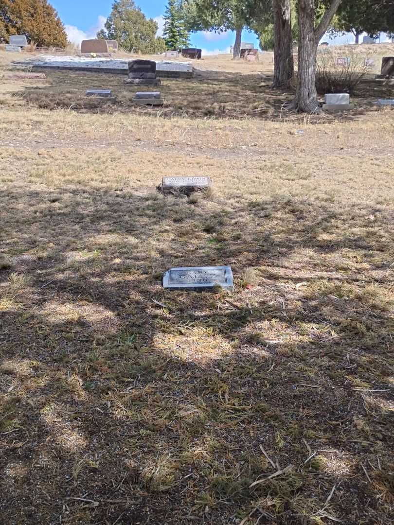 Harry Edwin Galitz's grave. Photo 2
