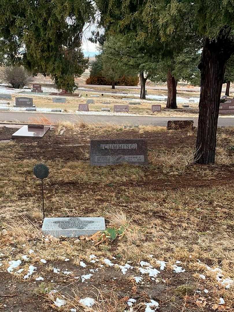 Ila Mae B. Cumming's grave. Photo 1