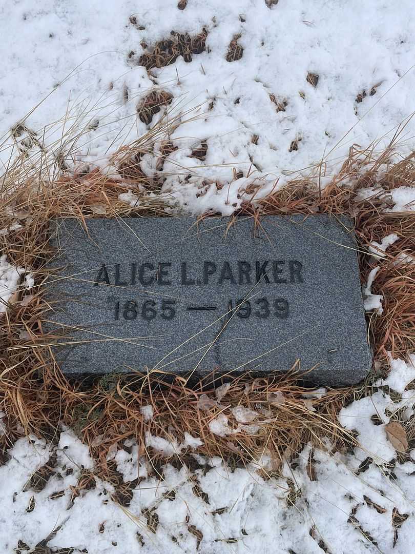 Delos H. Parker's grave. Photo 2
