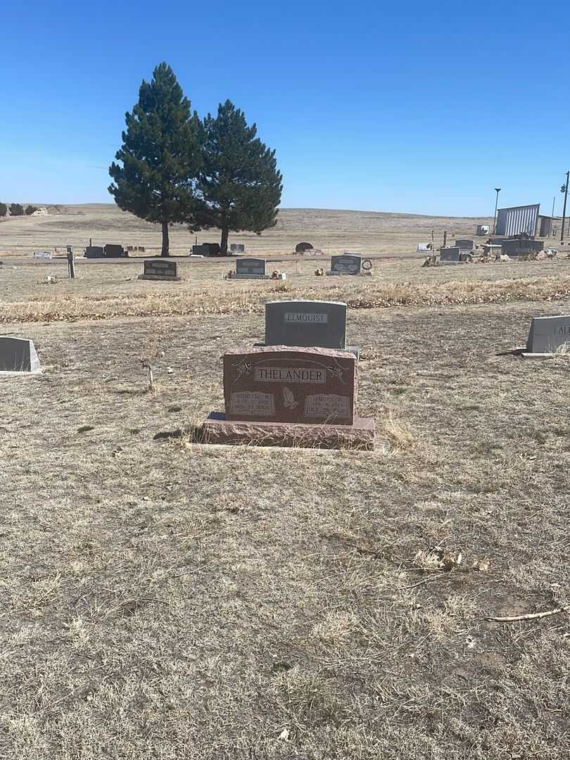 LeMoyn N. Thelander's grave. Photo 1