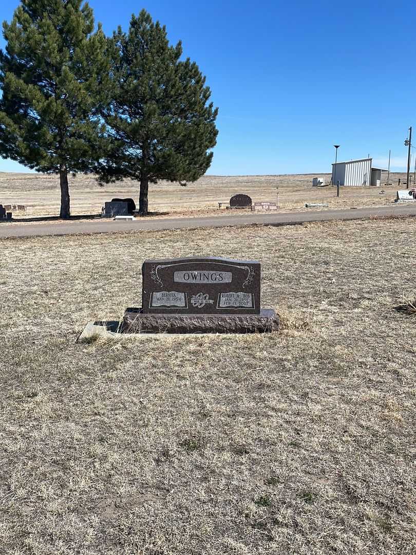 Robert "Bob" Owings Junior's grave. Photo 1