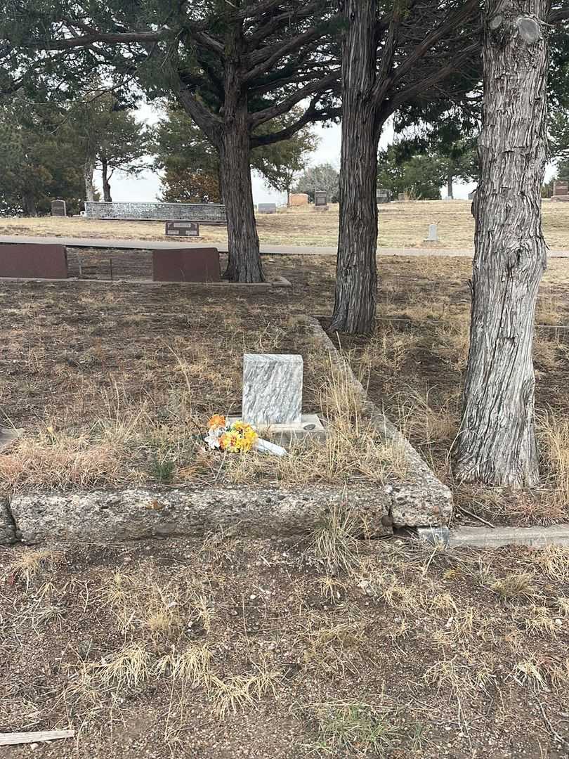 Rachel A. Samuelson's grave. Photo 1