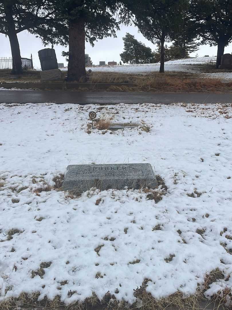 Delos H. "Doc" Parker's grave. Photo 1