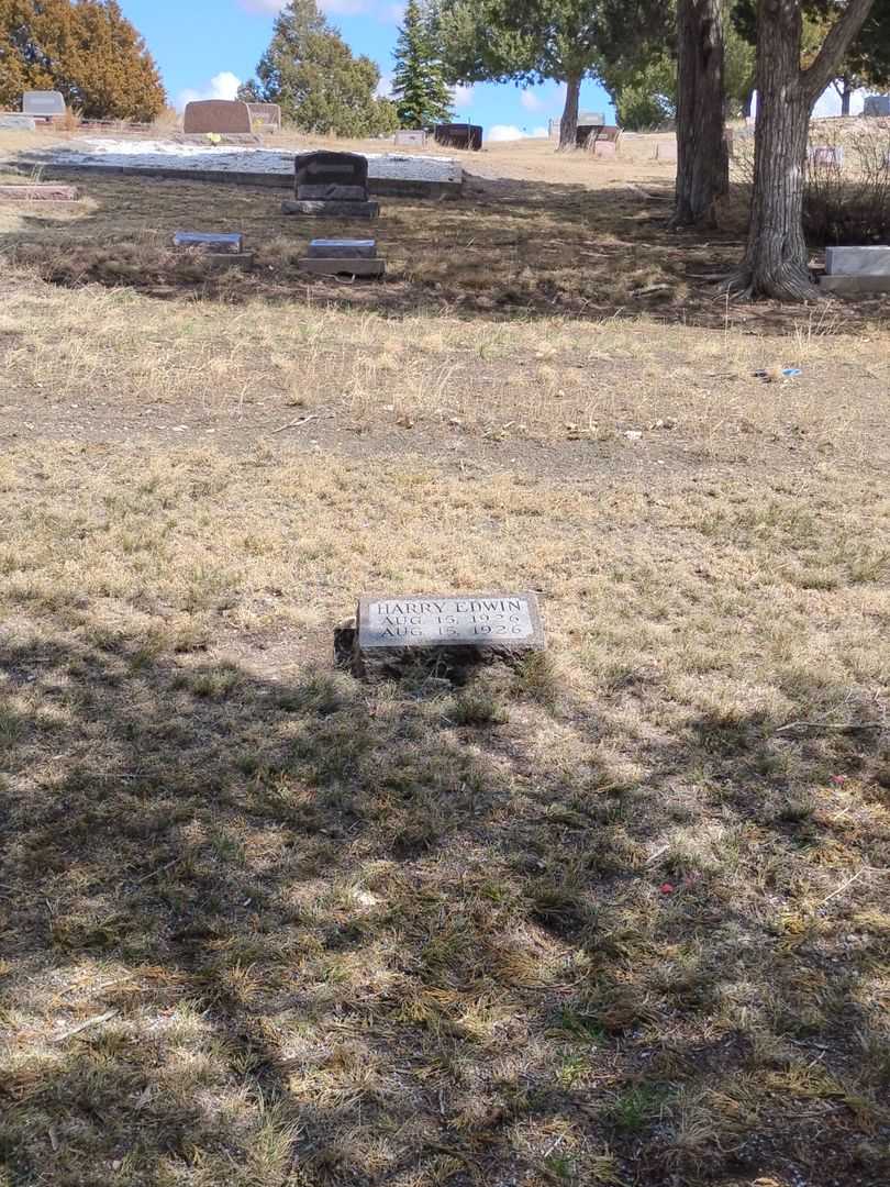 Harry Edwin Galitz's grave. Photo 4