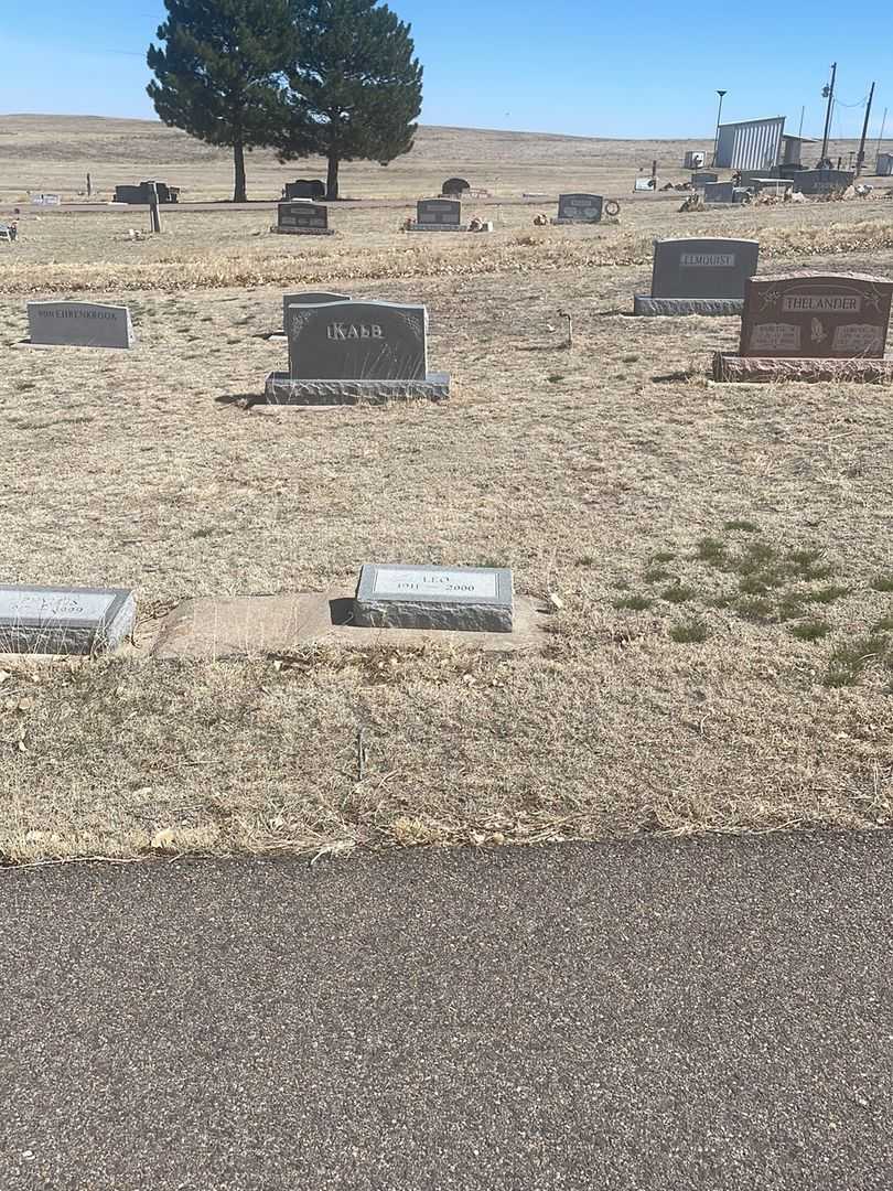 Leo Kalb's grave. Photo 2