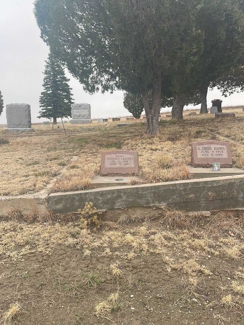 Florence E. Raines's grave. Photo 1