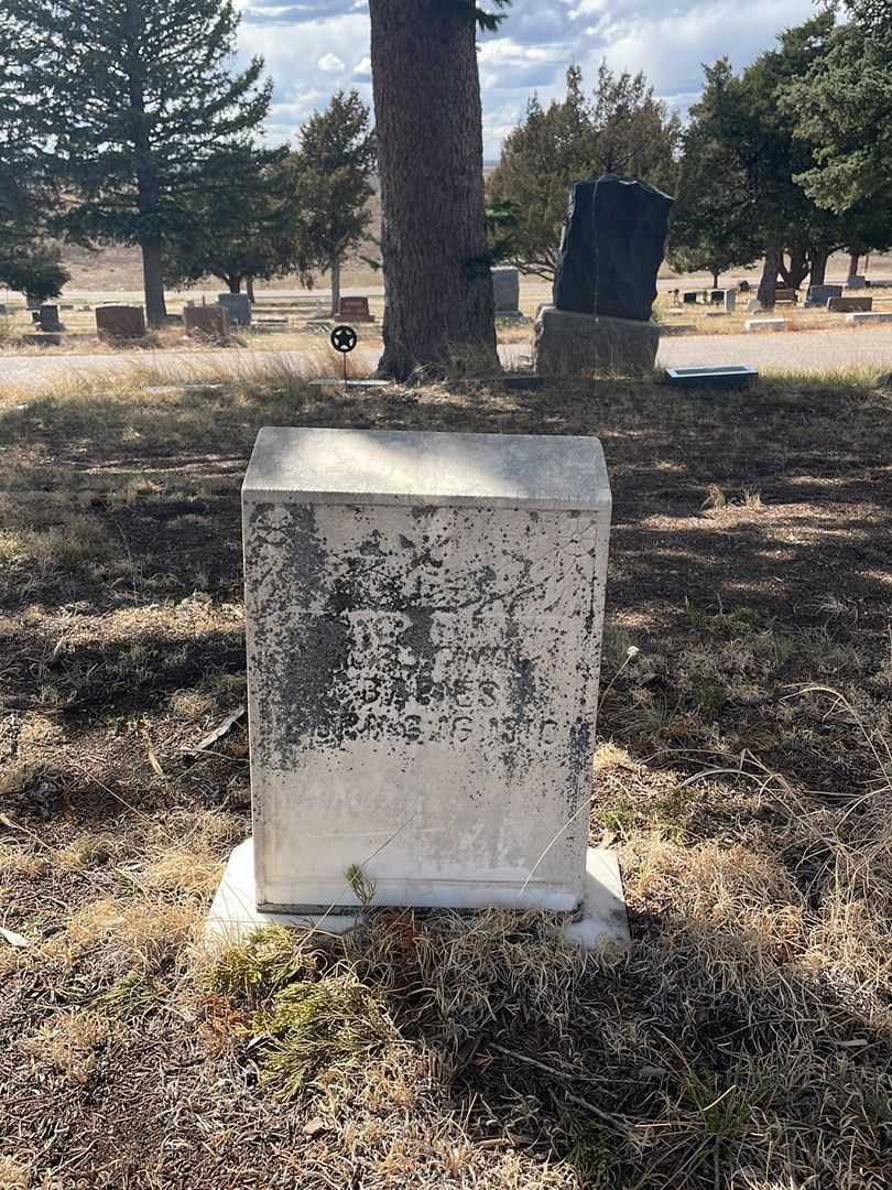 Babies Von Rothberg's grave. Photo 2