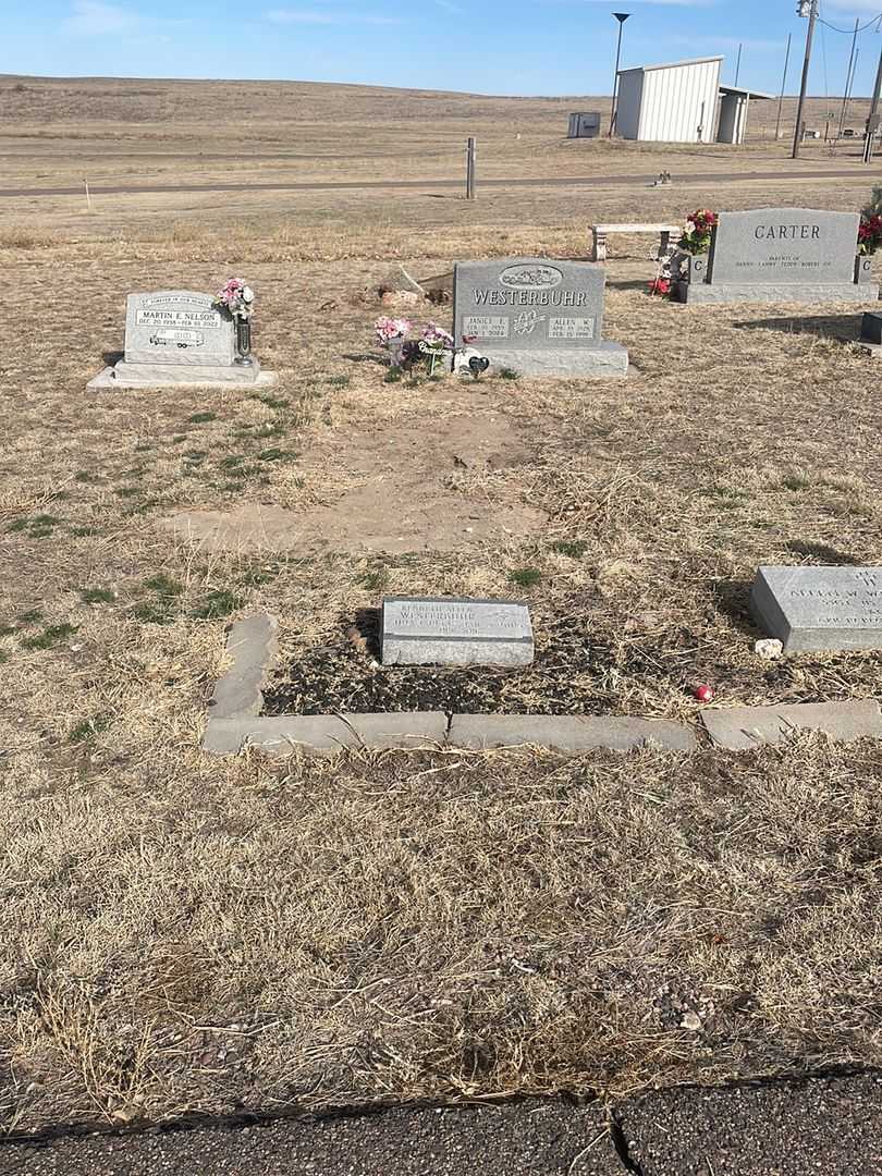 Janice E. Nelson Westerbuhr's grave. Photo 4