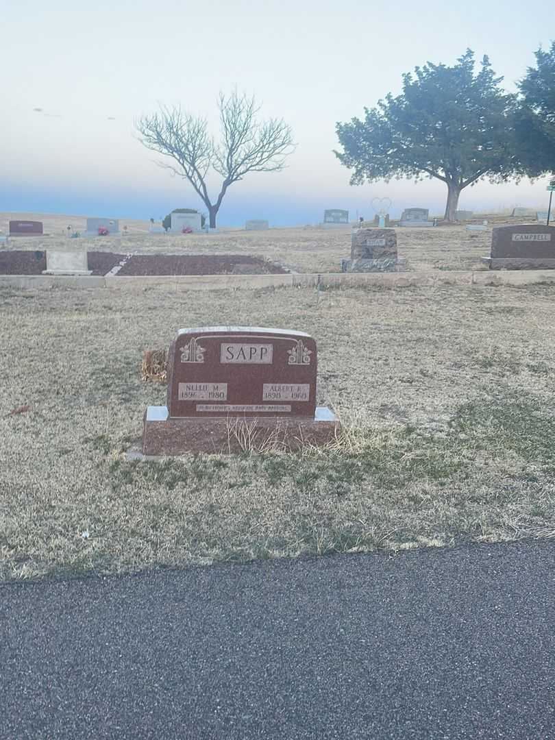 Albert R. Sapp's grave. Photo 1