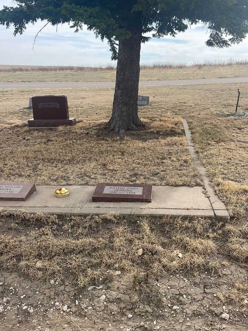 William James Jenkins's grave. Photo 2