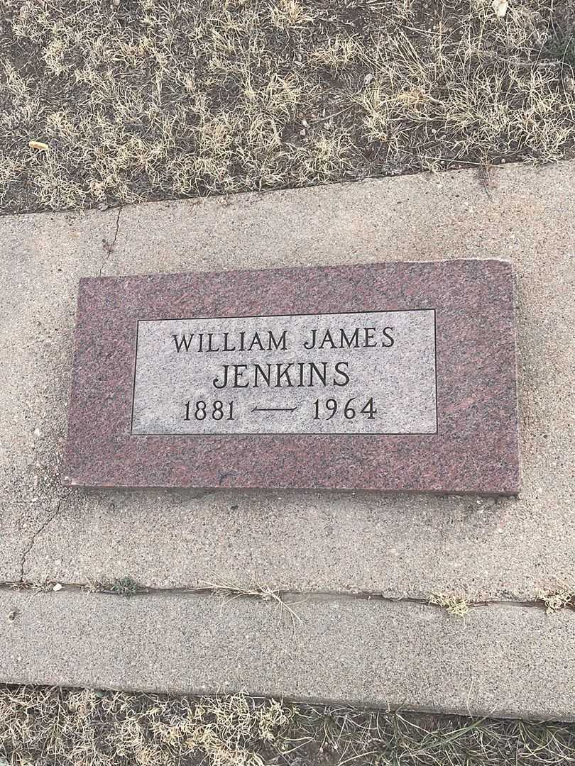 William James Jenkins's grave. Photo 3