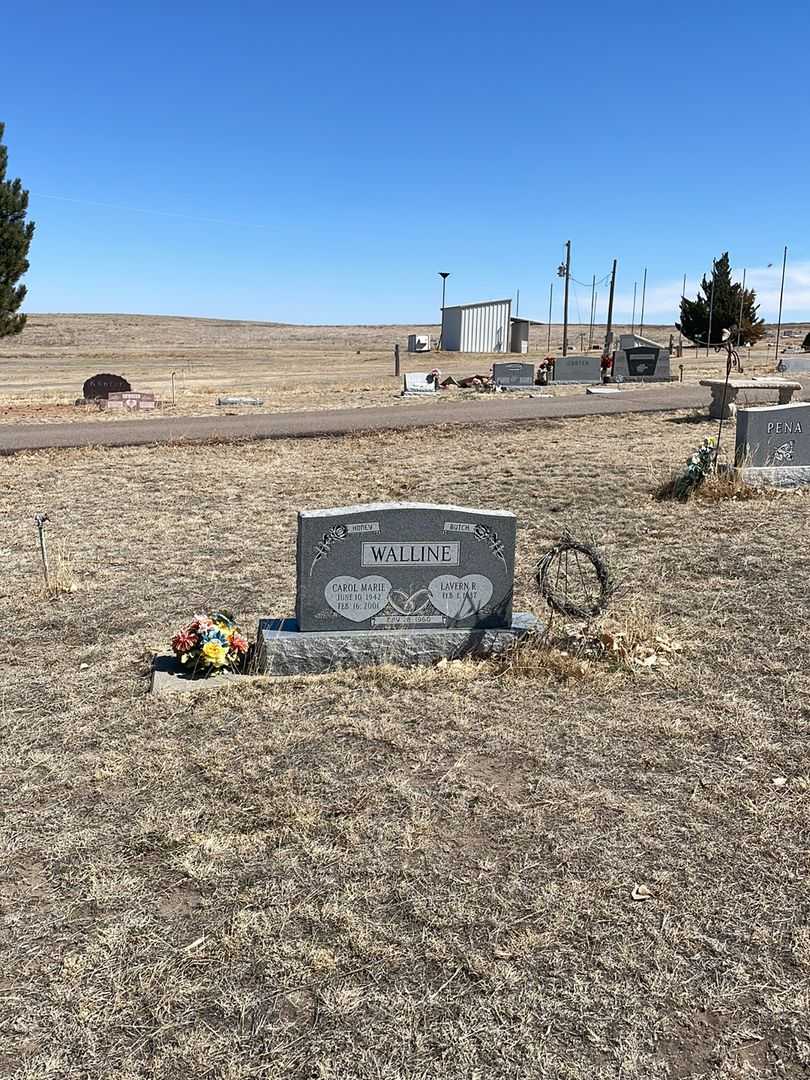 Carol Marie Walline's grave. Photo 1
