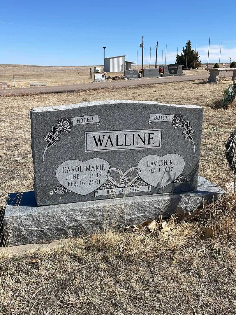 Carol Marie Walline's grave. Photo 2